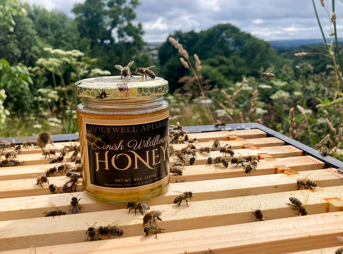 Pure Cornish Wildflower Honey, local honey near me for sale