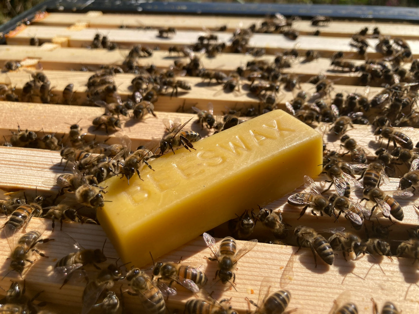 Pure Cornish beeswax bar for sale
