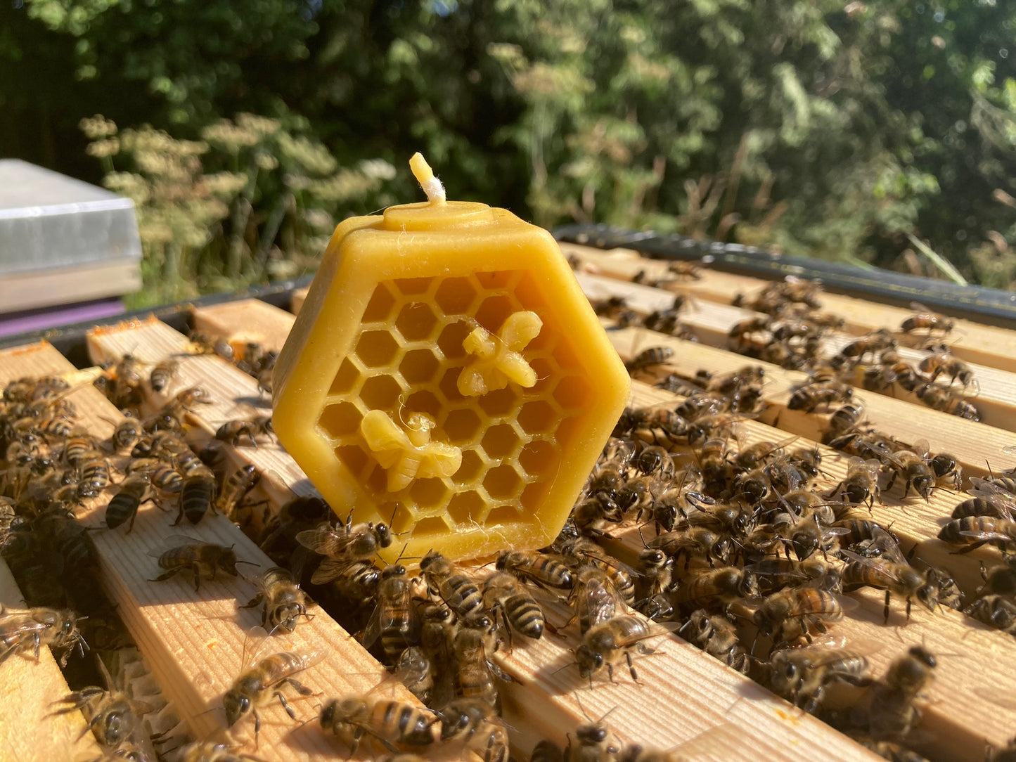 Pure Cornish beeswax candle for sale gift